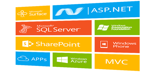 Customized Software Development in Dubai